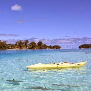 Meet your Posher, Kentlee